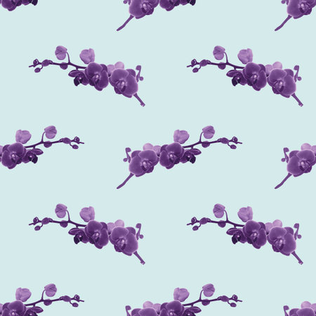 Orchid flower flower branch with buds and flowers Vector illustration isolated on white, for tropical design, romantic wedding invite, background or floral bannerのイラスト素材