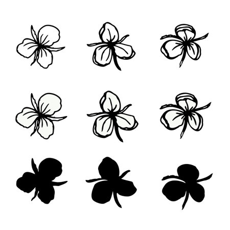 Greenery leaves set for design, hand drawn vector elementsのイラスト素材