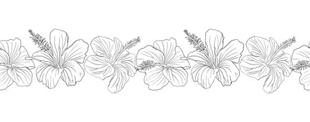 Hibiscus flower with leaves seamless boarder. Can be used for wedding invitations, greeting cards, scrapbook, print, gift wrap, manufacturing Hand drawn line art vector illustrationのイラスト素材