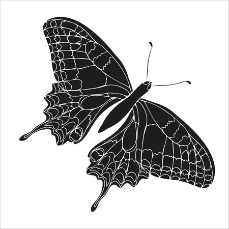 Butterfly black silhouette art illustration. Insect butterfly for stickers, tattoo, silhouette, scrapbook. Winged gorgeous animal. Vector hand drawn illustration, isolate on white background.のイラスト素材