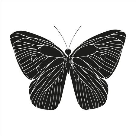 Butterfly black silhouette art illustration. Insect butterfly for stickers, tattoo, silhouette, scrapbook. Winged gorgeous animal. Vector hand drawn illustration, isolate on white background.のイラスト素材