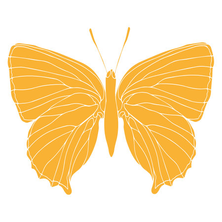 Butterfly silhouette art illustration. Insect butterfly for stickers, tattoo, silhouette, scrapbook. Winged gorgeous animal. Vector hand drawn illustration, isolate on white background.のイラスト素材