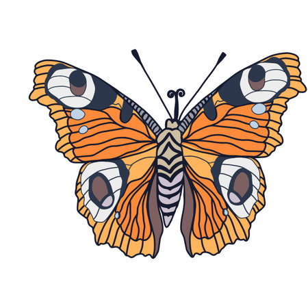 Monarch butterflies Vector hand drawn insect illustration isolated on white background.のイラスト素材