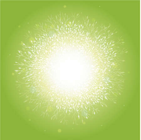 Magical spring trees sunburst backgroundの写真素材