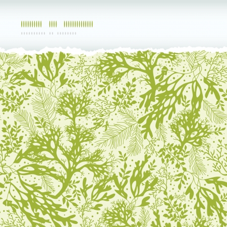 Green underwater seaweed horizontal torn seamless pattern backgroundのイラスト素材