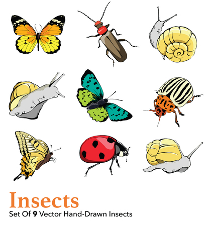Butterfly, snail, ladybug, potato bug. Insects 9 Elements Set Seamless Pattern graphic designのイラスト素材