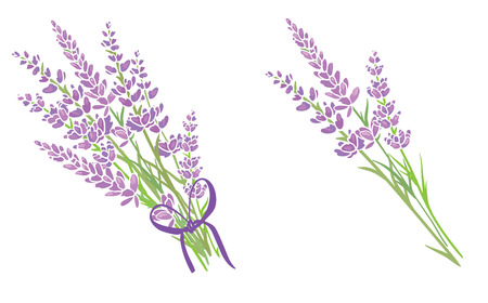 Set of two purple lavender flowers bouquets. Beautiful violet lavender flowers collection. Graphic design elements.の写真素材
