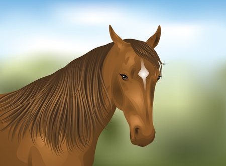 Portrait of a brown horse.のイラスト素材