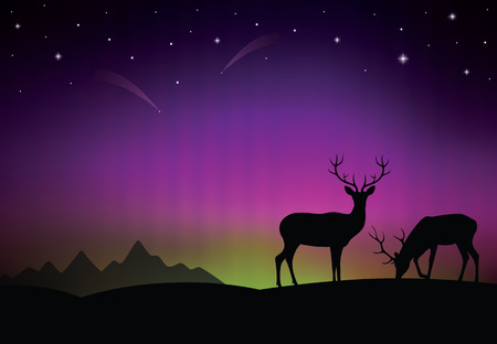 The aurora with a deers in the foreground.のイラスト素材
