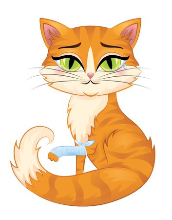 Cute redhead cat with green eyes isolated on white.のイラスト素材