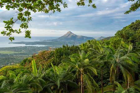Tropical landscape with trees and palms. Beautiful mountain and blue sky.の写真素材