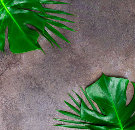 Natural dark gray marble texture background with tropical leaves.の写真素材