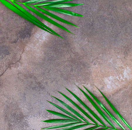 Natural dark gray marble texture background with tropical leaves.