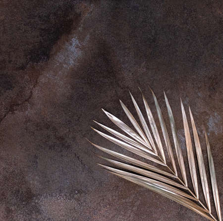 Golden palm leaf on the marble background. High quality photo.の写真素材