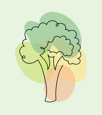 Broccoli in n a hand drawn linear style on colorful background.のイラスト素材