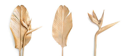 Set of golden palm leaves and flowers.の写真素材