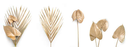 Set of golden palm llaves and golden flowers.の写真素材