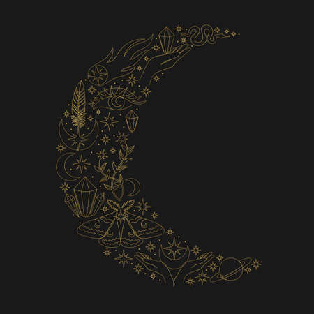 Beautiful set of mystic details in line art style.のイラスト素材