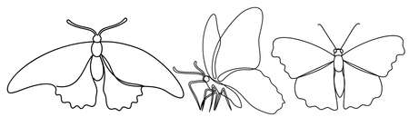 Set in a modern one line art of butterflies.のイラスト素材