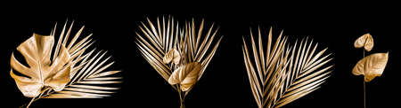 Set of golden palm leaves. Isolated on white.の写真素材