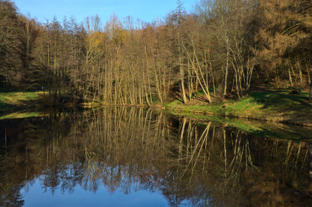 Autumn forest scenery. Reflection of trees on the lake water surface.の写真素材