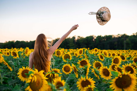 Sunflowers field on sunset. Woman with a long hair is dancing.の写真素材