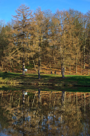 Autumn forest scenery. Reflection of trees on the lake water surface.の写真素材