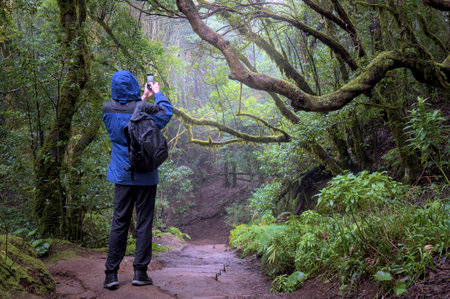 Man is in an enchanted forest taking a photo.の写真素材
