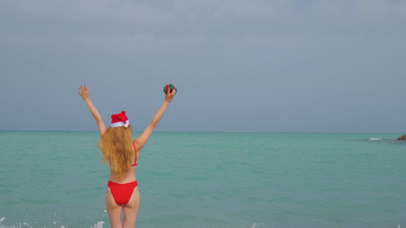 Woman from a back with a long hair, red bikini and in a Santa hat.の写真素材