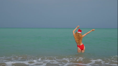 Woman from a back with a long hair, red bikini and in a Santa hat.の写真素材