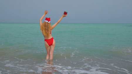Woman from a back with a long hair, red bikini and in a Santa hat.の写真素材