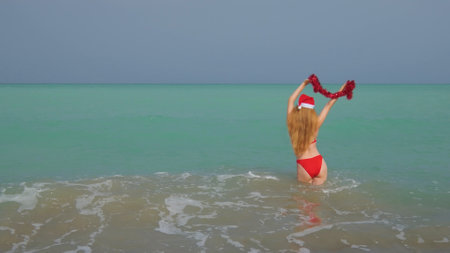 Woman from a back with a long hair, red bikini and in a Santa hat.の写真素材
