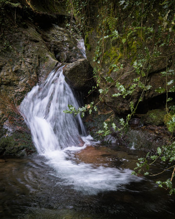 A small, scenic waterfall cascades over moss-covered rocks in a lush forest.の写真素材