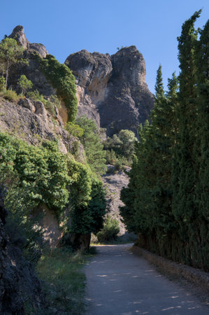Serene pathway surrounded by lush greenery and towering rocky cliffs.の写真素材