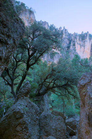 Serene natural scene featuring rugged rocky cliffs, dense green trees, and a tranquil atmosphere.の写真素材