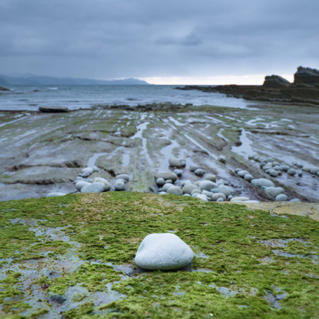 A rocky coastline in the north of Spain, featuring smooth stones, patches of green moss, and tide pools.の写真素材