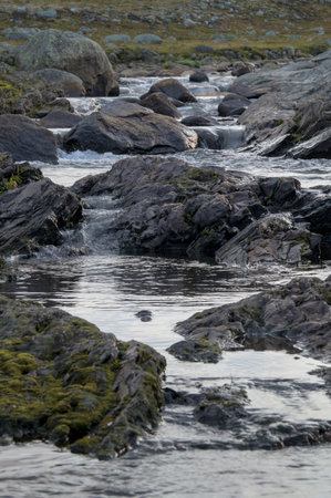 A peaceful stream flows between moss-covered rocks and boulders.の写真素材