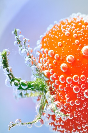 Tomatoの写真素材