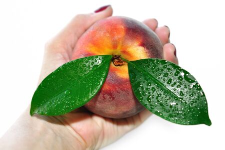 Peachの写真素材