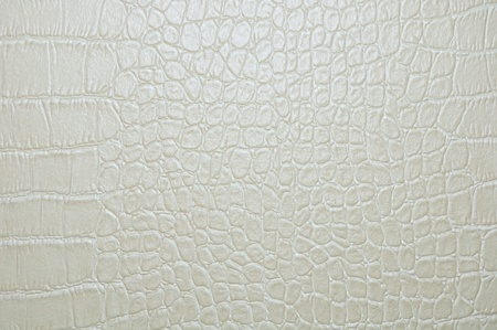 grey faux crocodile skin texture background. の写真素材
