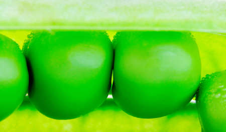 Fresh green pea の写真素材