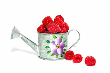 Red raspberry on whiteの写真素材