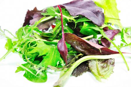 Healthy green saladの写真素材