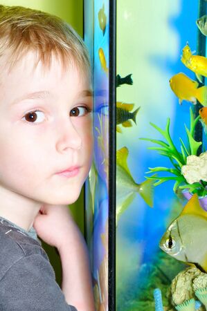 A boy watches fish in aquariumの写真素材