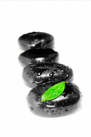 Zen stones and green leaf with water dropsの写真素材