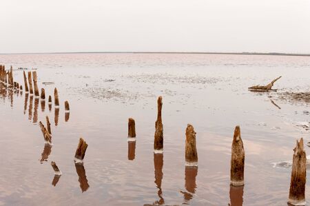 The abandoned pink lake Sasyk-Sivash. Empty salty industries.の写真素材