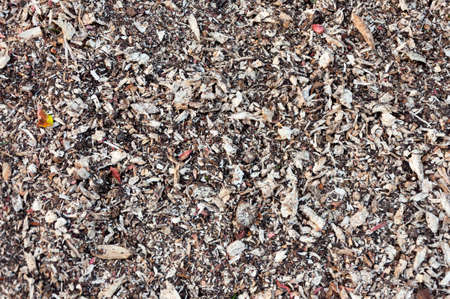 A nicebark wood brown chips mulch texture background