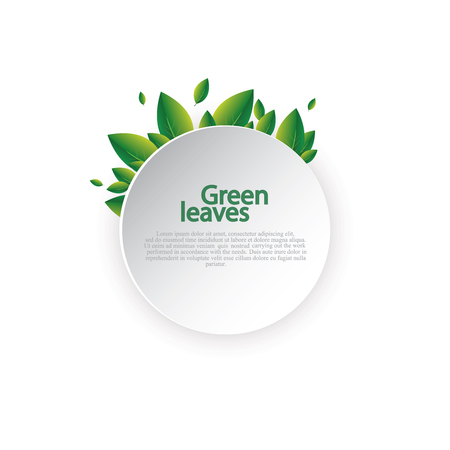 Fresh spring green grass leaves frame template with curling blank sheet paper design vector illustrationのイラスト素材