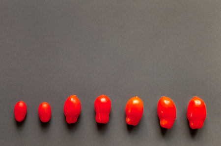 Red tomatoes on a gray background, space for textの写真素材