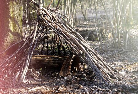 A Forest Shelter Made From All Natural Materials.の写真素材